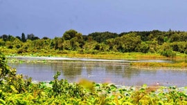 Cộng đồng vùng đất ngập nước dễ bị tổn thương bởi biến đổi khí hậu