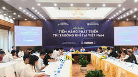 Nhiều tiềm năng phát triển thị trường khí tại Việt Nam