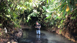 Thủ tướng chỉ đạo khẩn trương điều tra, làm rõ nguyên nhân gây ô nhiễm nguồn nước sạch sông Đà