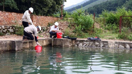 Công ty Sông Đà vô tư xả “trộm” nước nhiễm dầu ra môi trường