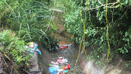 Yên Bái: Ô nhiễm môi trường ở vùng nông thôn có dấu hiệu tăng