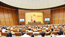 Quốc hội nghe, thảo luận về công tác phòng, chống tội phạm năm 2019