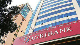 Ngân hàng Nhà nước Việt Nam giao nhiệm vụ điều hành HĐTV Agribank