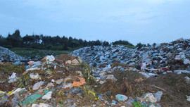 Cho thuê đất xây dựng Nhà máy xử lý rác sinh hoạt tại huyện đảo Phú Quý