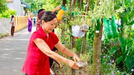 Tái chế chai nhựa để trồng cây - hành động thiết thực để BVMT của phụ nữ Ninh Bình