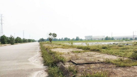 Góc khuất các KCN ở Thừa Thiên Huế - Bài 2: Khu công nghiệp không hệ thống xử lý nước thải