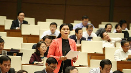 Quốc hội thảo luận về dự án Luật sửa đổi, bổ sung Luật Giám định tư pháp