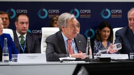COP25: Tổng thư ký LHQ kêu gọi ủng hộ nỗ lực kinh doanh để giải quyết BĐKH