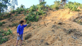 Thái Nguyên: Nứt đất núi Hồng, cảnh báo nguy cơ sạt lở lớn khiến người dân lo lắng