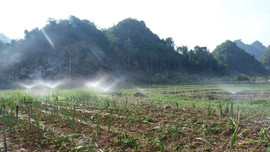 Sơn La triển khai các giải pháp phòng chống hạn hán, thiếu nước