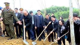 Thủ tướng phát động “Tết trồng cây đời đời nhớ ơn Bác Hồ” tại huyện Trấn Yên, Yên Bái