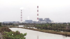 Tập trung hoàn thiện hệ thống pháp luật về bảo vệ môi trường 
