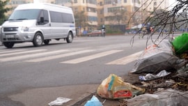 Vứt khẩu trang bừa bãi, có thể bị phạt nặng!