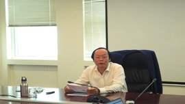 Tổng cục Môi trường báo cáo kế hoạch triển khai thực hiện các nhiệm vụ về quy hoạch