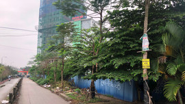 Khu đô thị mới Ngã 5 - Sân bay Cát Bi Hải Phòng: Chiếm đất quy hoạch cây xanh làm sân bóng