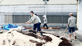  Quảng Ninh: Tăng cường quản lý phân bón, thuốc bảo vệ thực vật