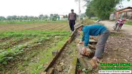 Yên Định (Thanh Hóa): Mương nội đồng xuống cấp, hơn 53 ha đất nông nghiệp nguy cơ thiếu nước