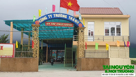 Hậu Lộc (Thanh Hóa): Cần xử lý nghiêm công trình cầu cảng trái phép trên sông Lạch Trường