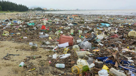 Giám sát rác thải từ nguồn tới biển: Giải quyết thách thức trong phát triển bền vững