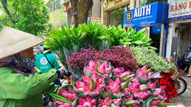 Hà Nội: Ngát hương hoa sen mùa hạ