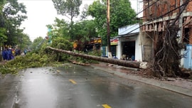 Dự báo thời tiết ngày 3/6: Cảnh báo dông, lốc, sét, mưa đá ở Tây Bắc Bộ và vùng núi phía Bắc