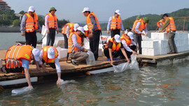 Quảng Ninh phát triển bền vững nguồn lợi thuỷ sản