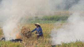 Hà Nội bắt đầu kiểm tra tình trạng đốt rơm rạ gây ô nhiễm không khí