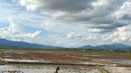 Điện Biên: Chủ động đảm bảo nước tưới phục vụ sản xuất vụ mùa 