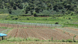 Ứng dụng công nghệ cao thúc đẩy phát triển ngành nông nghiệp Sơn La