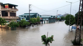 Mưa lớn, kéo dài gây sạt lở đất, ngập lụt cục bộ tại nhiều điểm ở TP.Hạ Long
