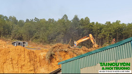 Thanh Hóa: “Đất tặc” lộng hành cạnh mỏ của Công ty Việt Lào