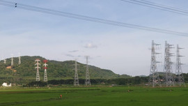 Đốc thúc giao mặt bằng cho dự án đường dây 500KV đấu nối Nhà máy nhiệt điện Nghi Sơn 2