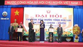 Phó Chủ tịch nước Đặng Thị Ngọc Thịnh dự đại hội Thi đua yêu nước tỉnh Gia Lai