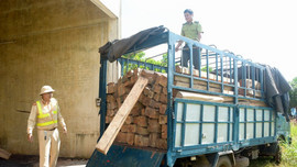 Cảnh sát giao thông liên tục phát hiện gỗ lậu