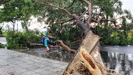 Hơn 22.000 ngôi nhà bị tốc mái vì bão số 5