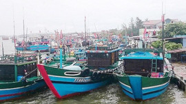 Thừa Thiên Huế: Gần 2 tỷ đồng hỗ trợ mua bảo hiểm thân tàu và thuyền viên cho ngư dân