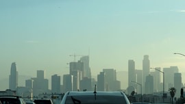 Mỹ: California sẽ cấm bán các xe chở khách chạy bằng xăng từ năm 2035