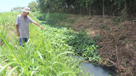 Nước thải, khí thải của CCN Đồng Dinh (Quảng Ngãi) “bủa vây” người dân