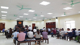 Thanh Hóa: Vụ xét xử cựu cán bộ xã Hà Ninh, các bị cáo kêu oan vì nhiều tình tiết chưa được làm rõ