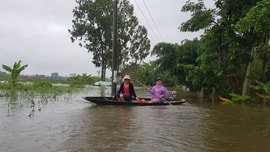 Người dân miền Trung nơm nớp nỗi lo lũ chồng lũ