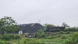 Ninh Bình: Lo ngại hàng loạt cảng than ngoài đê sông Đáy cản trở hành lang thoát lũ trước bão số 7