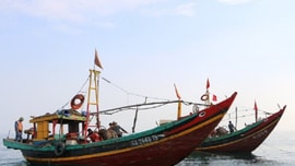 Nghệ An: Sẽ tiến hành thanh tra, kiểm tra, kiểm soát nghề cá