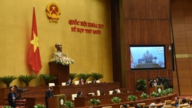 Quốc hội nghe báo cáo giải trình tiếp thu về Dự thảo Luật Bảo vệ môi trường (sửa đổi)