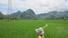 Phê duyệt kết quả điều tra, đánh giá chất lượng, tiềm năng đất đai tỉnh Sơn La