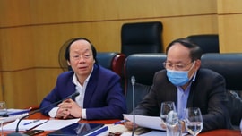 Đề xuất thành lập Khu bảo tồn thiên nhiên Cù Lao Chàm