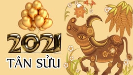 Ban Bí thư ra Chỉ thị về việc tổ chức vui Xuân, đón Tết Tân Sửu 2021