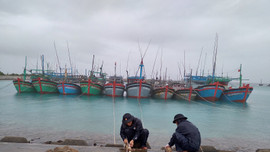 Hỗ trợ kịp thời gần 600 ngư dân vào tránh, trú bão số 14 tại huyện đảo Trường Sa