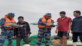 Thanh Hóa: Đảm bảo an toàn cho ngư dân bám biển