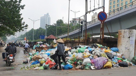 Hà Nội chỉ đạo thanh tra toàn diện vụ rác thải chất đống tại điểm tập kết
