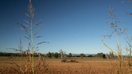 Australia ghi nhận năm nóng kỷ lục thứ 4 trong lịch sử